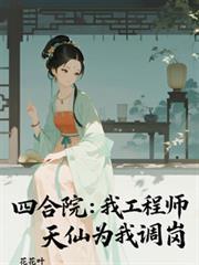 四合院之工程师系列