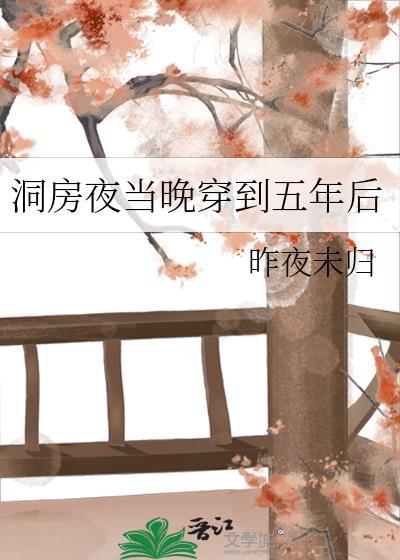 洞房当夜当晚穿到5年后