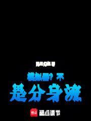 模拟器?不!是分身流洛月幻华笔趣阁
