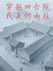 穿越四合院我是何雨柱当乒