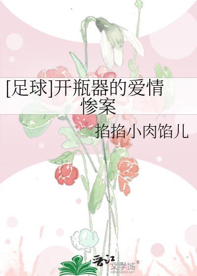 开瓶器啥意思