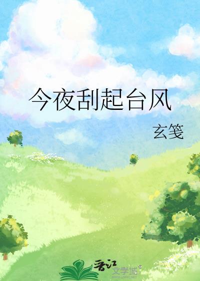 今夜刮起台风TXT电子书全本阅读