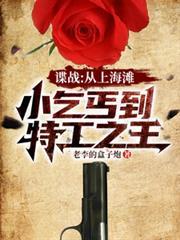 谍战从上海滩小乞丐到特工之王全文