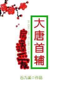 穿越大唐房遗爱的完结