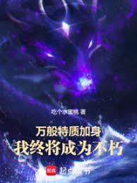 我加载了武道破限面板原名