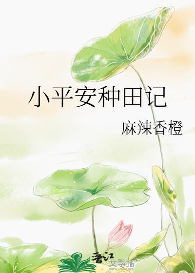 小平安种田记TXT百度资源