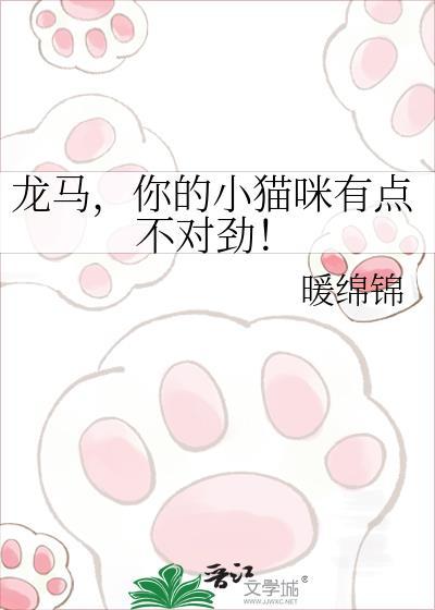 龙马的猫哪一集不见了