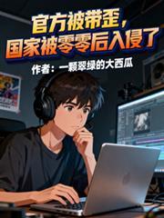 国家被零零后入侵了仙侠