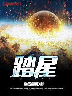 踏星全本TXT